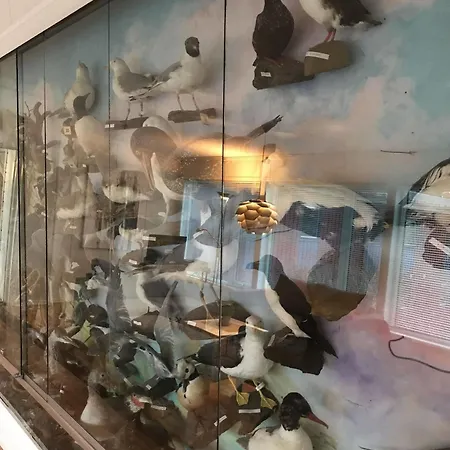 Camp Skytterhuset 모텔 4*